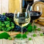 Los 10 mejores vinos por 20 euros